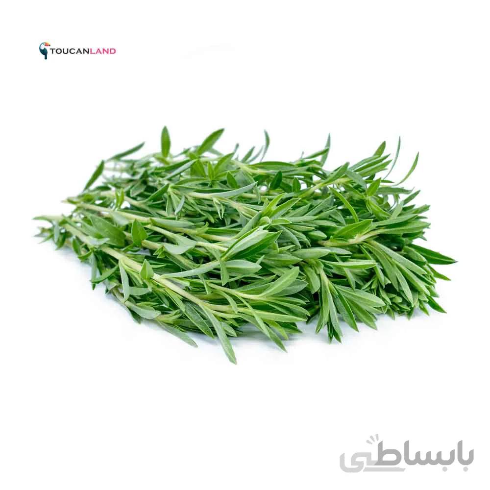 بذر مرزه کد 331266