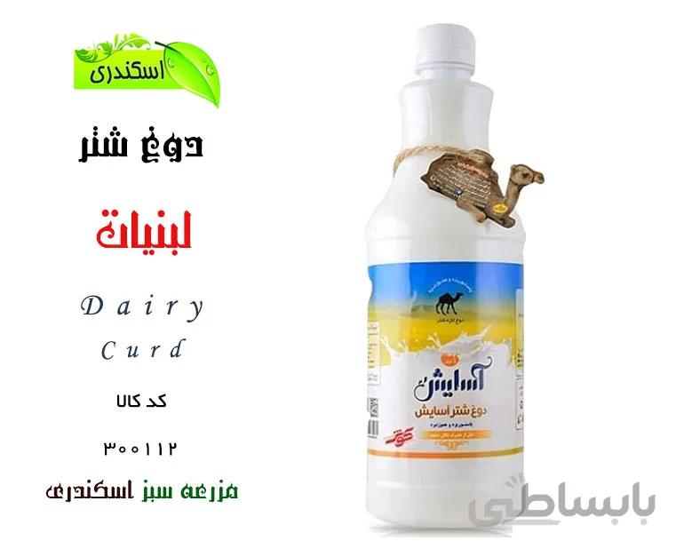 دوغ شتر