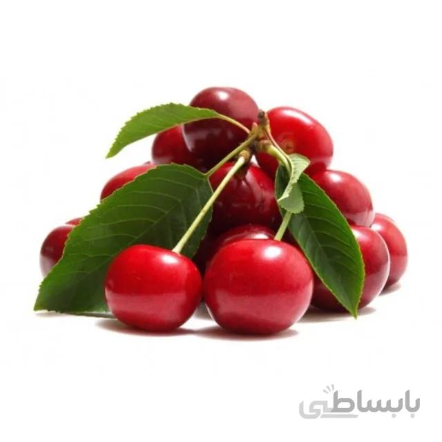 نهال آلبالو رسمی ریشه پُر (دوساله)
