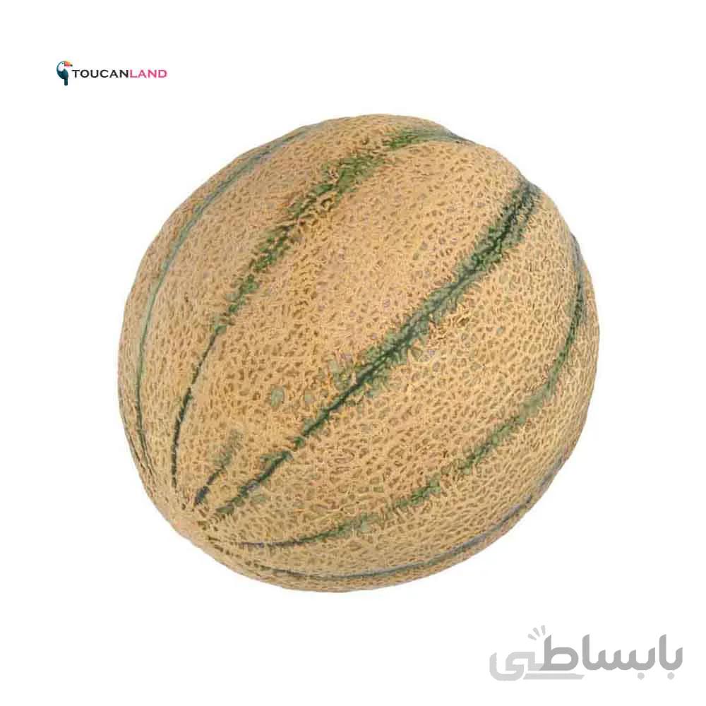 بذر طالبی کد 331214