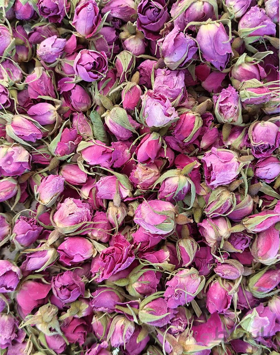 غنچه گل محمدی لاله‌زار کرمان ۱۰۰ گرمی