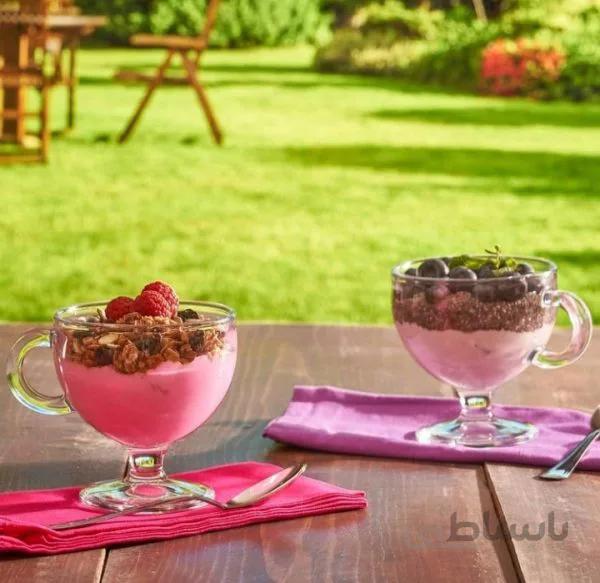 بستنی خوری ۴ تایی برند پاشا باغچه