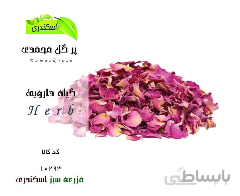 پر گل محمدی