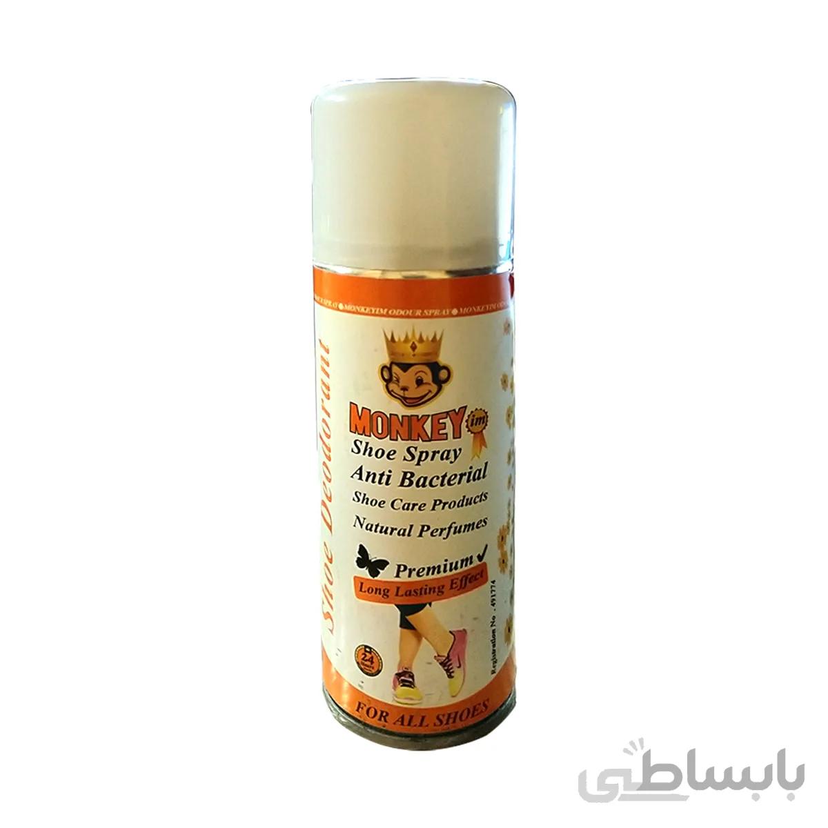 بوگیر کفش 02