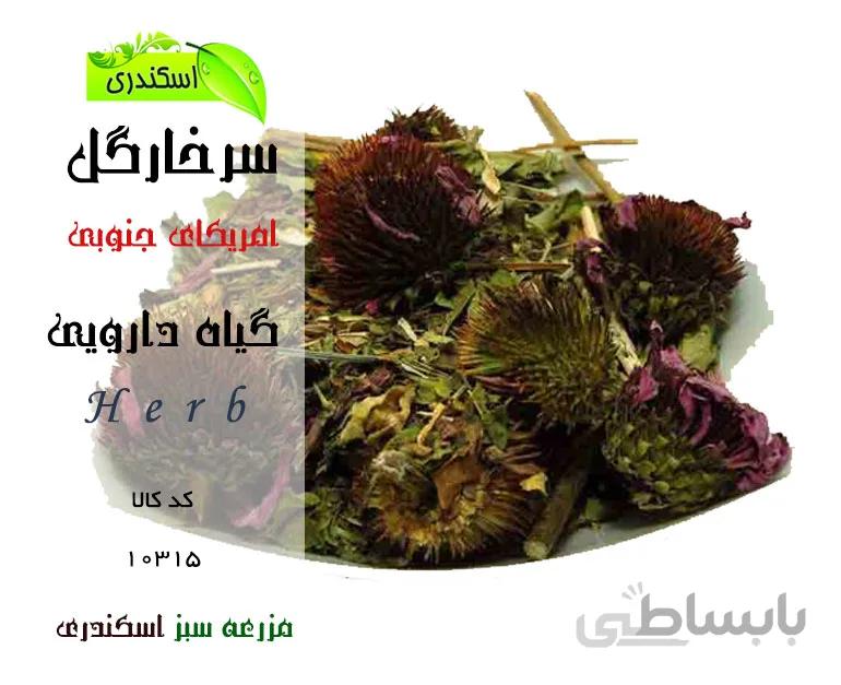گیاه سرخارگل اصل (اکیناسه)