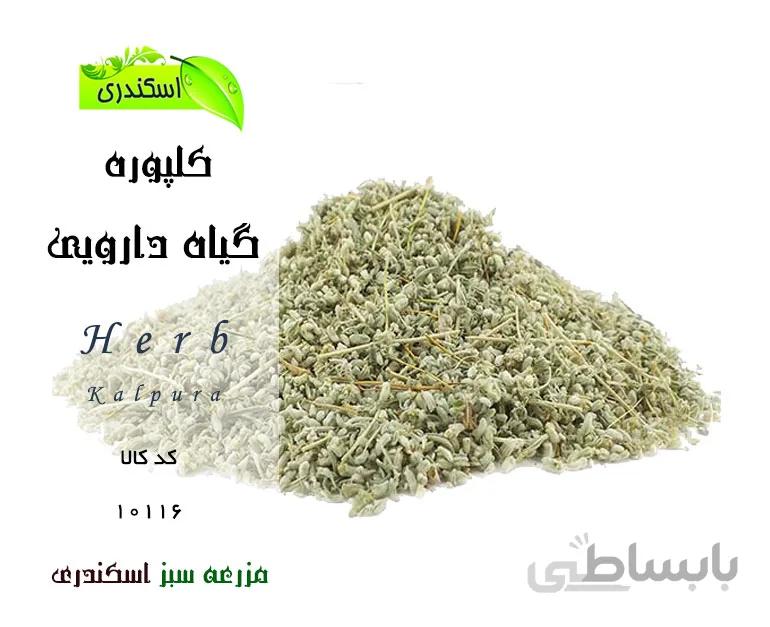 گیاه کلپوره