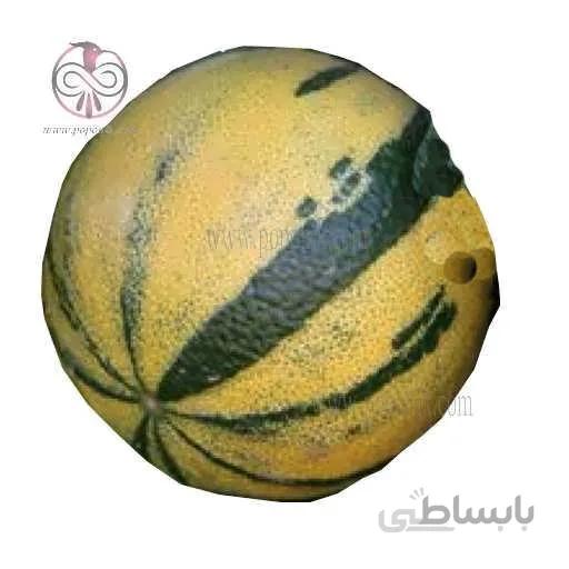 نهال نارنگی ابلق
