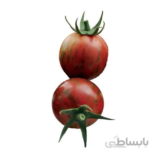 بذر گوجه چری تایگر قرمز