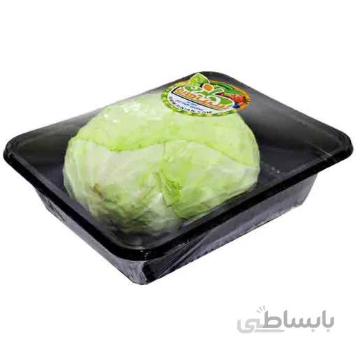 کلم سفید درجه یک - 1 تا 2 کیلوگرم