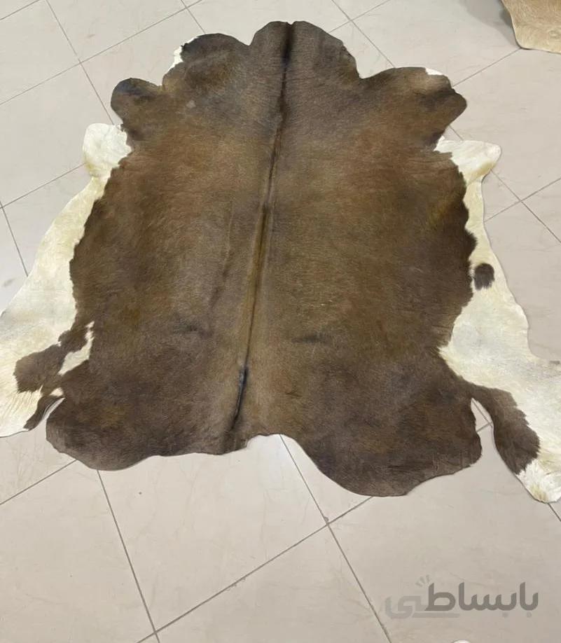 پوست طبیعی گاو تزنیینی 24.5 پا ا cow skin