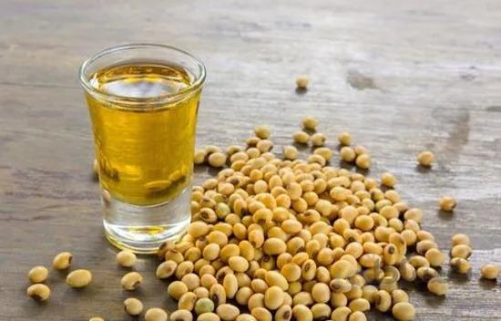 لسیتین سویا