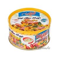 كنسرو خوراك سالاد تن ماهي 170 گرمي شيلانه