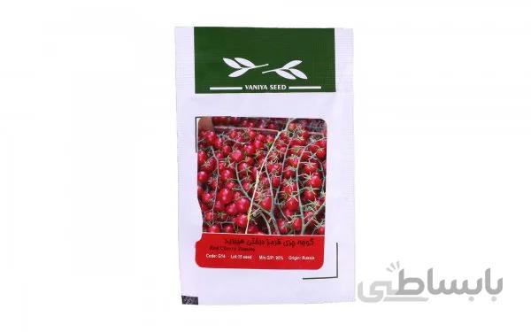 گوجه چری قرمز درختی هیبرید (Red Cherry Tomato) وانیا آذر سبزینه کد G14 مقدار 15 گرم