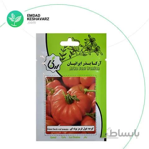 بذر گوجه غول قرمز بوتهای آرکا بذر