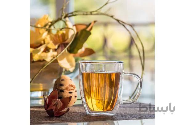 ماگ دوجداره پیرکس - درجه یک