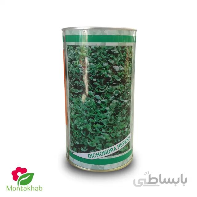 بذر چمن دایکوندرا هلندی