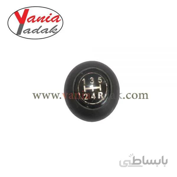 سر دنده تیبا