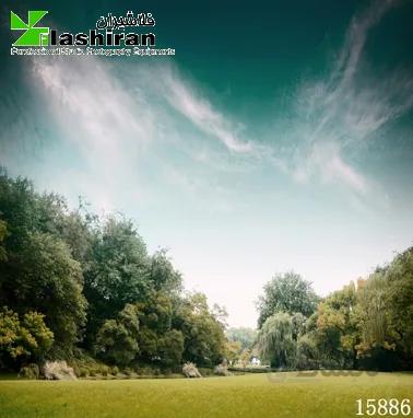 بکگراند (فون) ۱۵۸۸۶