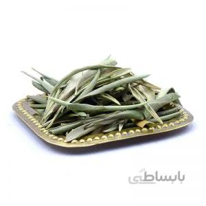 برگ زیتون