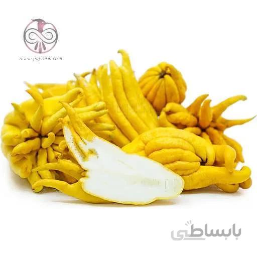 نهال دست بودا