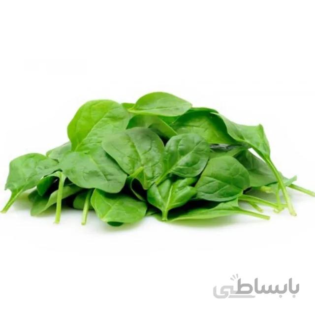 بذر اسفناج بسته ۱۲ گرمی