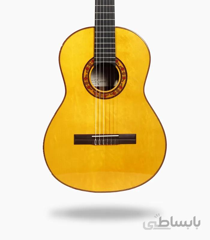 گیتار رامین فلاح red bresilian rose wood