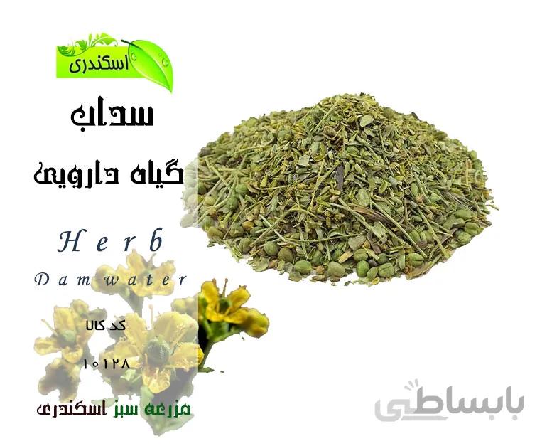 گیاه سداب