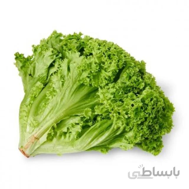 بذر کاهو فر سبز بسته ۱ گرمی