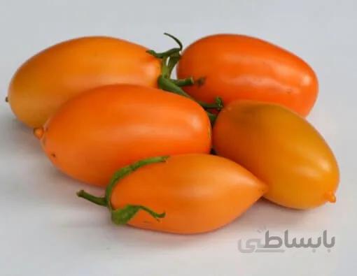 بذر گوجه فرنگی قندیل یخ پرتقالی اوکراینی بسته 10 عددی