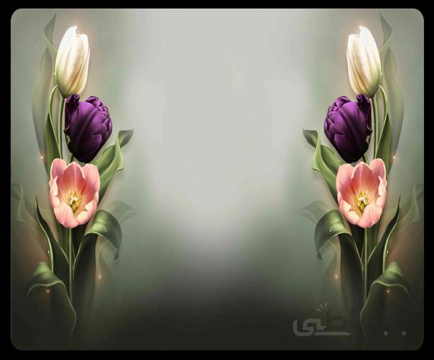 پوستر گل سه بعدی 061