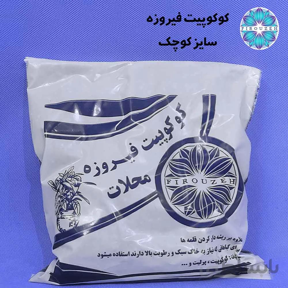 کوکوپیت