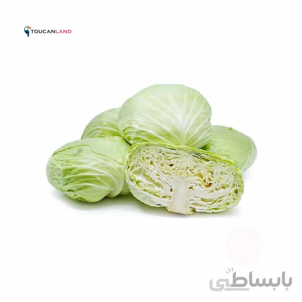 بذر کلم پیچ سبز