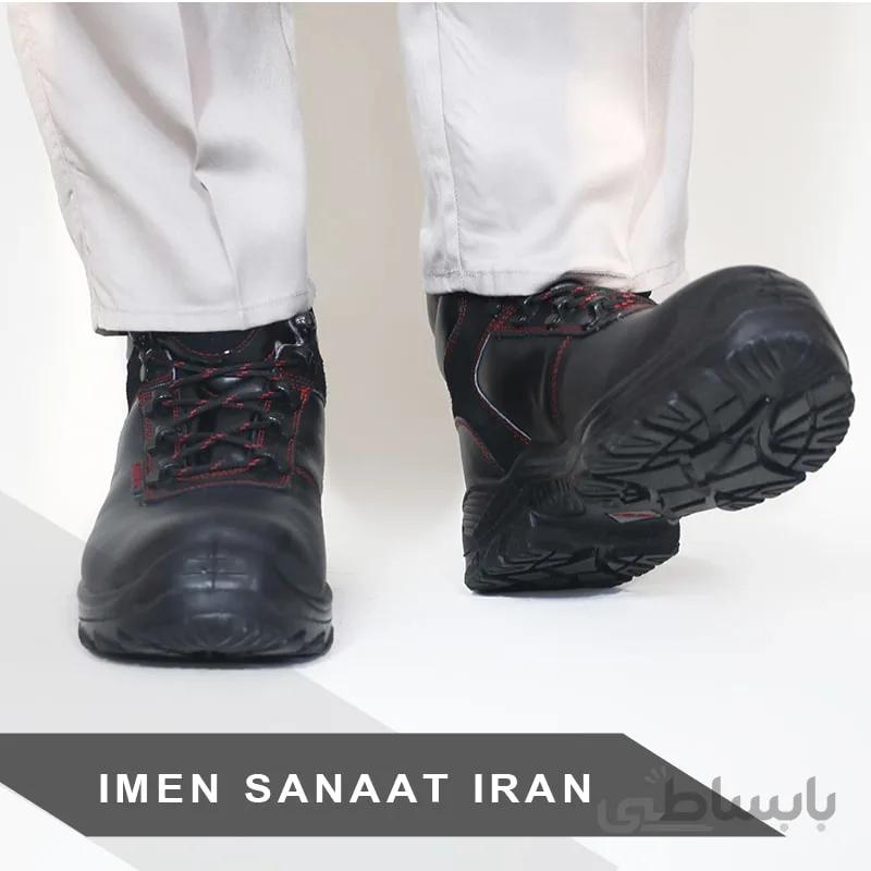 پوتین ایمنی چیتا