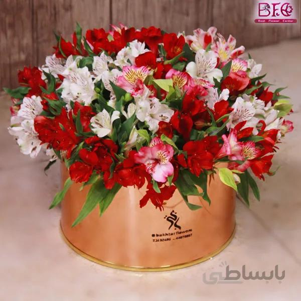 باکس گل آلستر