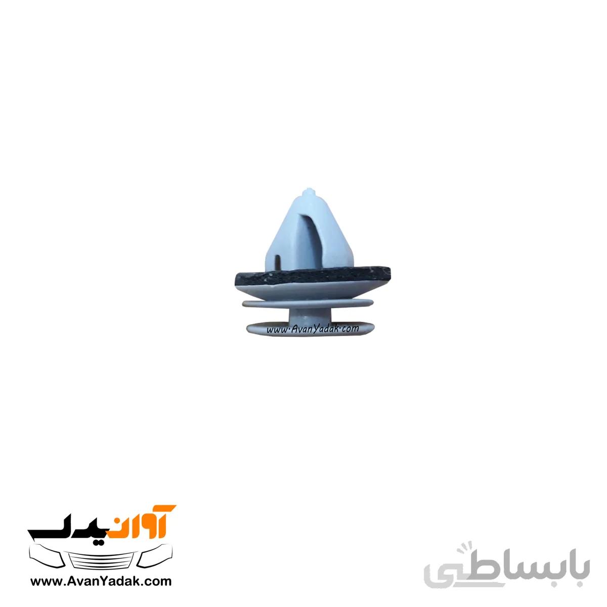 خار رودری ساینا و کوییک