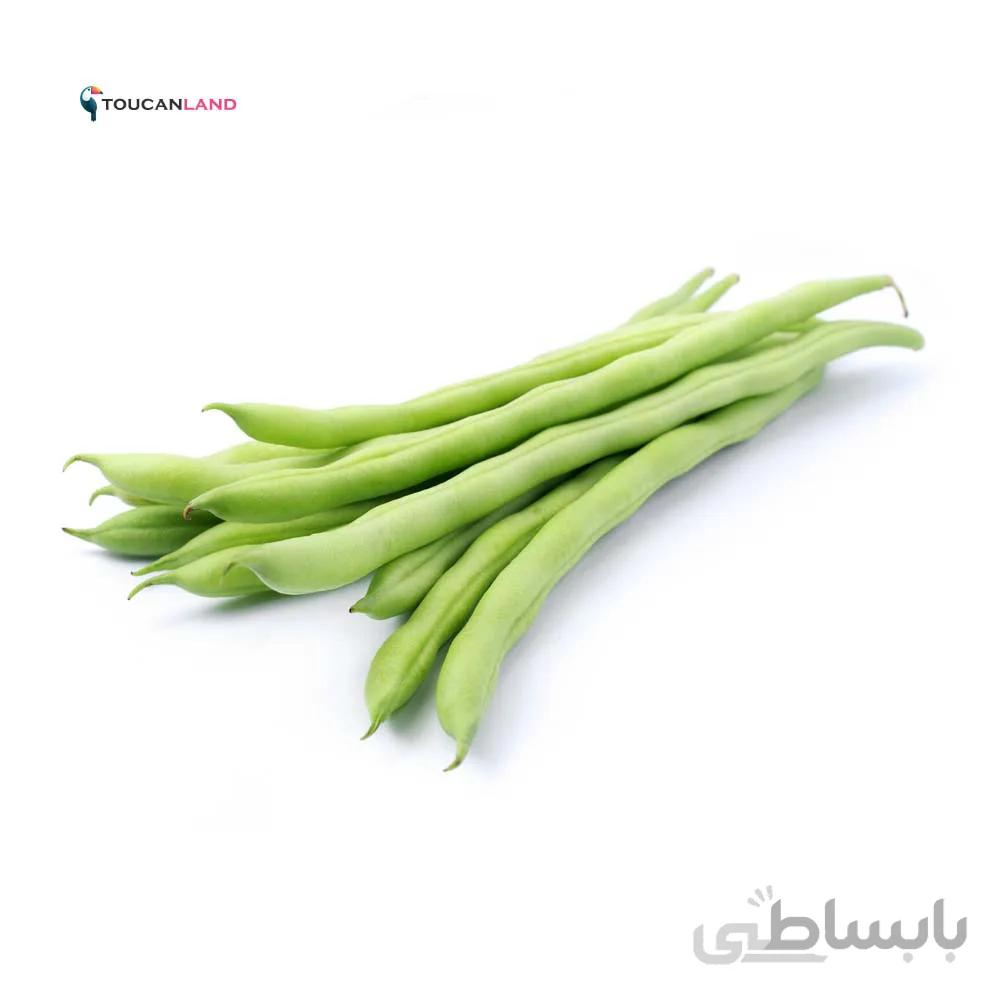 بذر لوبیا سبز کد 331270