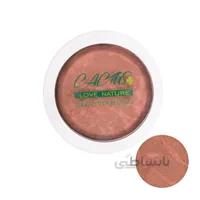 رژگونه تراکوتا کاکتوس شماره 45