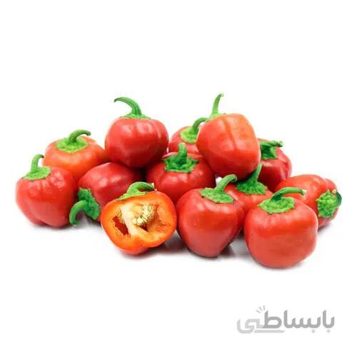 بذر فلفل دلمه ای بشقابی
