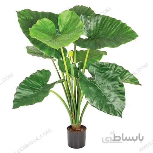 بابا آدم طرح E020 ( ارسال گل رایگان )