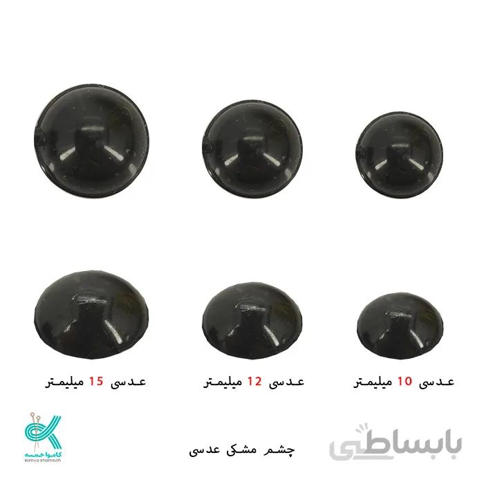 چشم عدسی جفتی