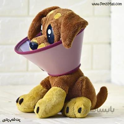 قلاده الیزابت سگ و گربه سایز ۶ چسب دار رنگ تصادفی مناسب گربه برند دنیل کد ۵۵۳