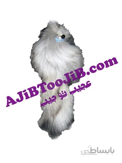 جاسوئیچی سمور های پشمالو