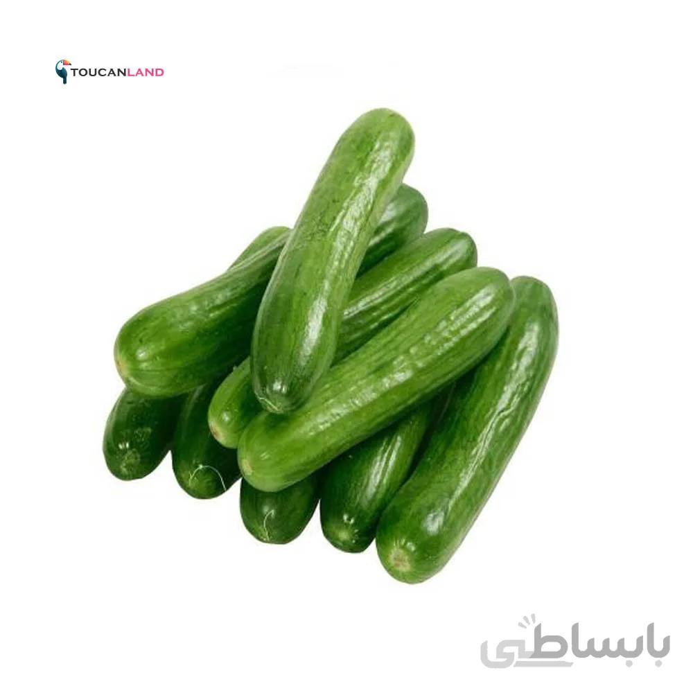 بذر خیاز بوته ای