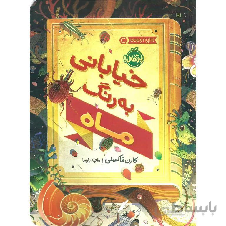 کتاب خیابانی به رنگ ماه نشر موسسه گسترش فرهنگ و مطالعات ا -