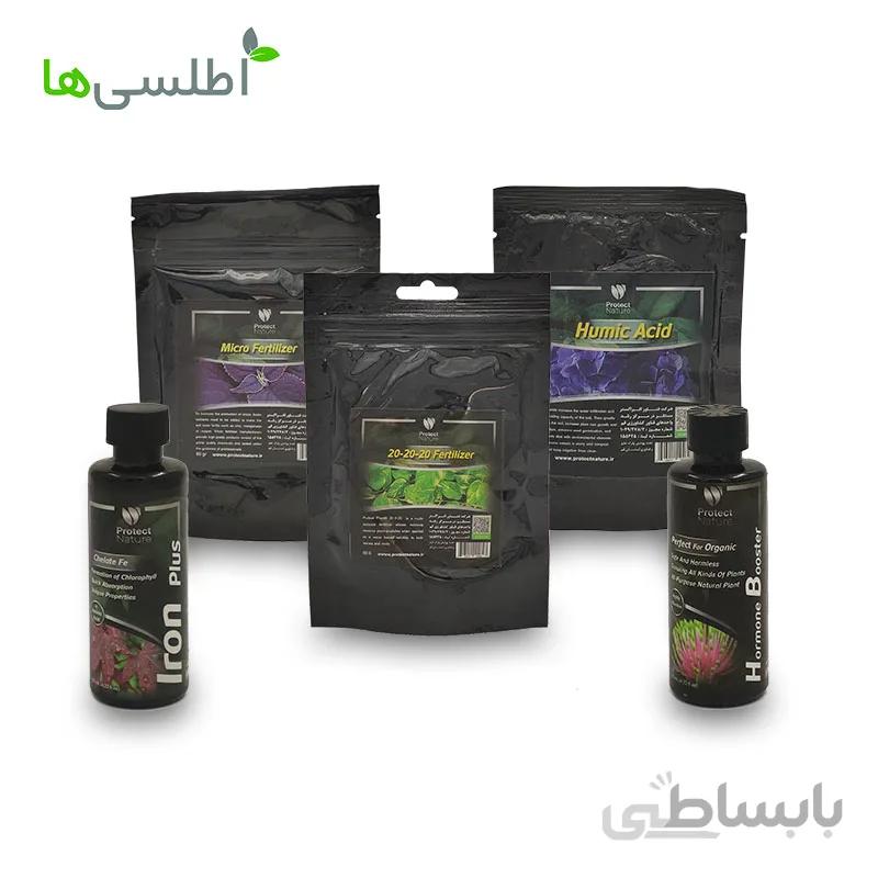 پکیج گیاهان آپارتمانی