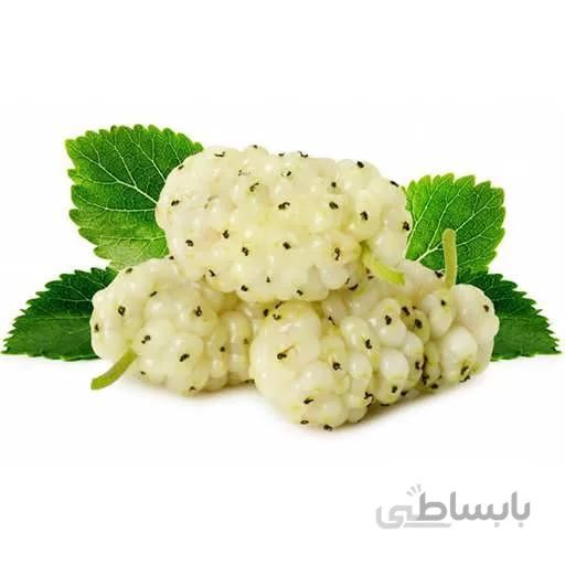 بذر درخت توت