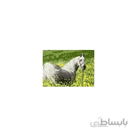 نخ و نقشه آموزشی تابلو فرش کد 32
