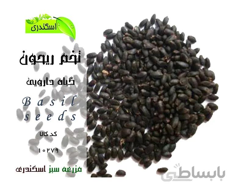 بذر ریحان