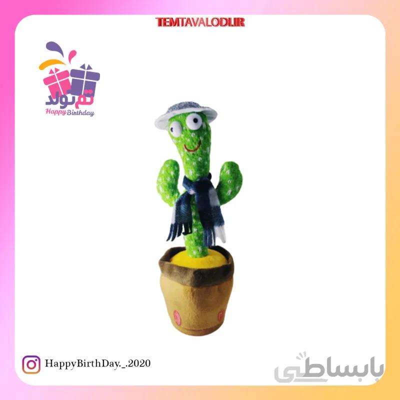 کاکتوس رقاص کلاه نقره ای