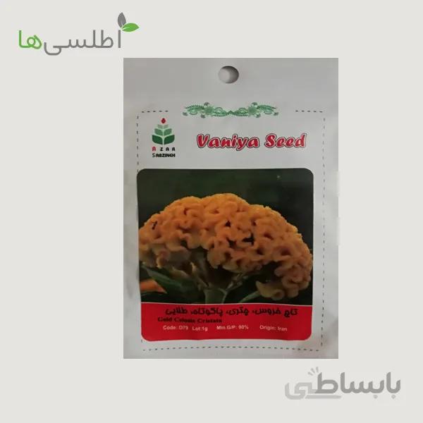 بذر تاج خروس چتری